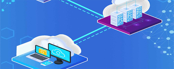 网络信息管理员的核心职责与信息技术开发任务